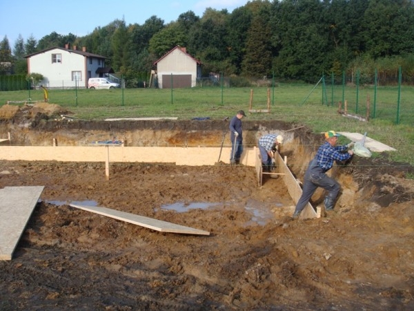 5a.jpg