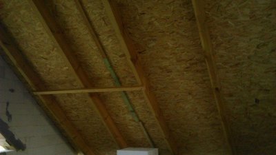 IMG_3715.JPG