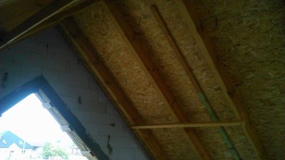 IMG_3716.JPG
