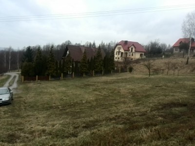 Tak było jeszcze w marcu