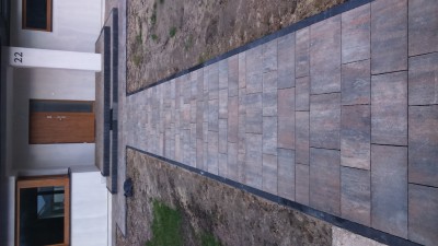 DSC_1317.JPG